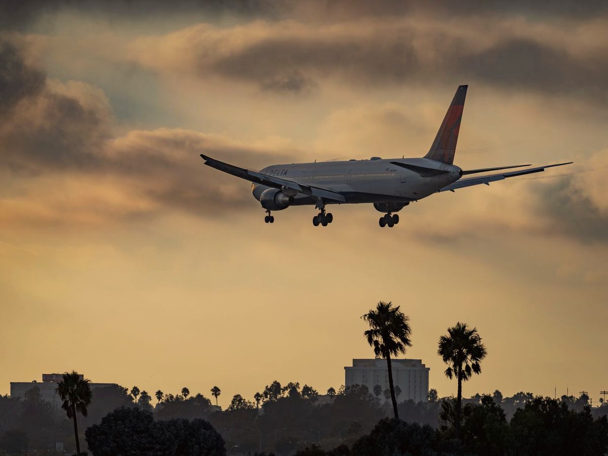 Airliner coming in to land over palm trees at sunset